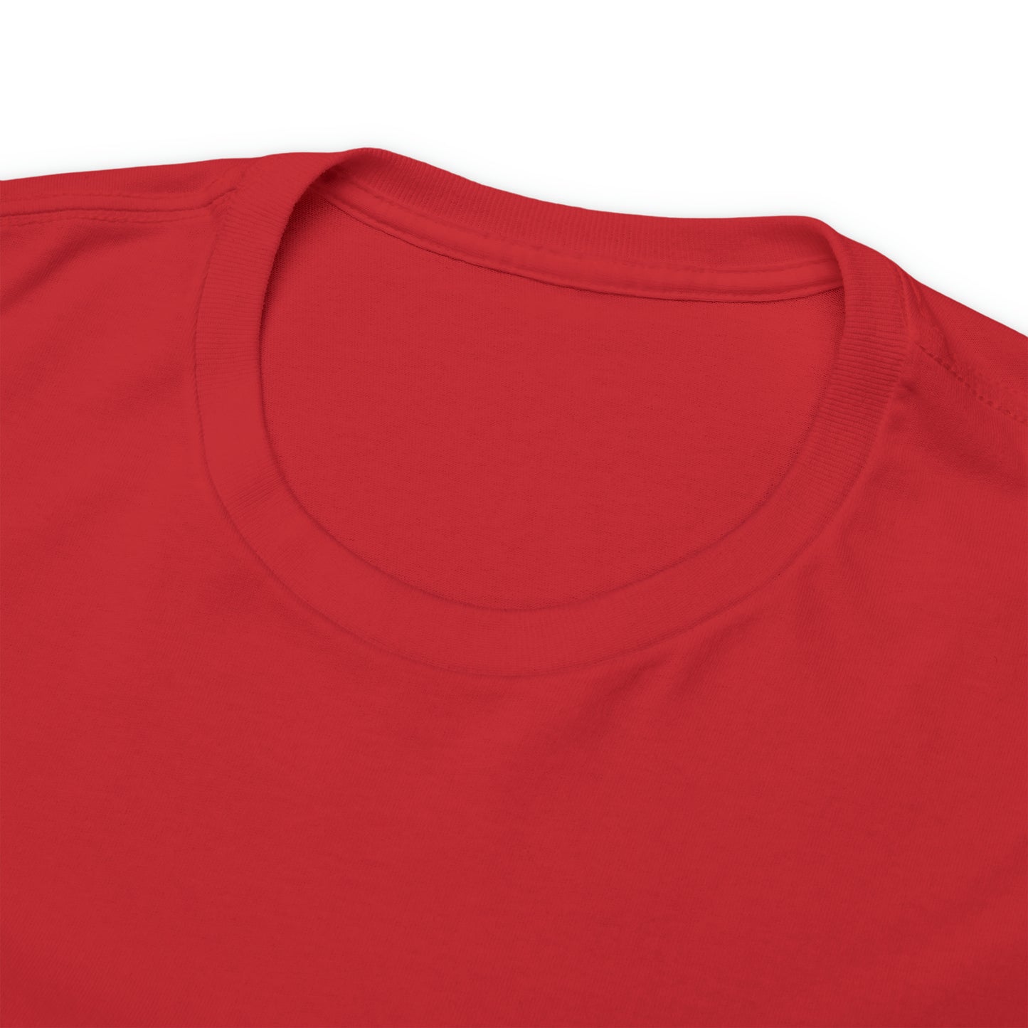 Unisex Braver Heavy Cotton Tee