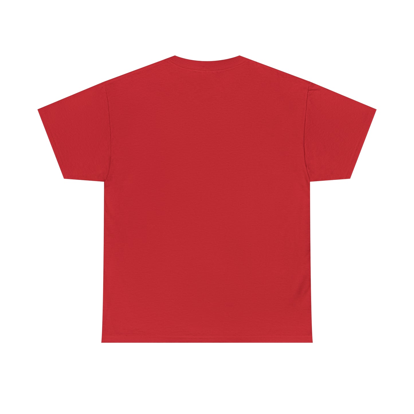 Unisex Predict the Future Heavy Cotton Tee