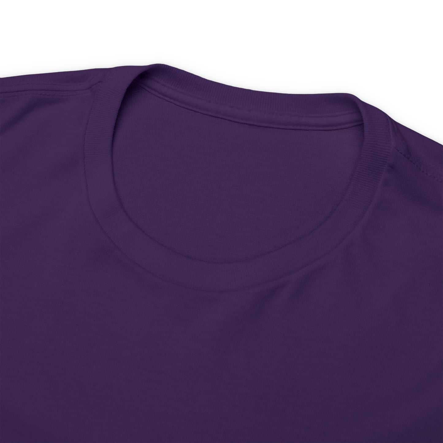 Unisex Braver Heavy Cotton Tee