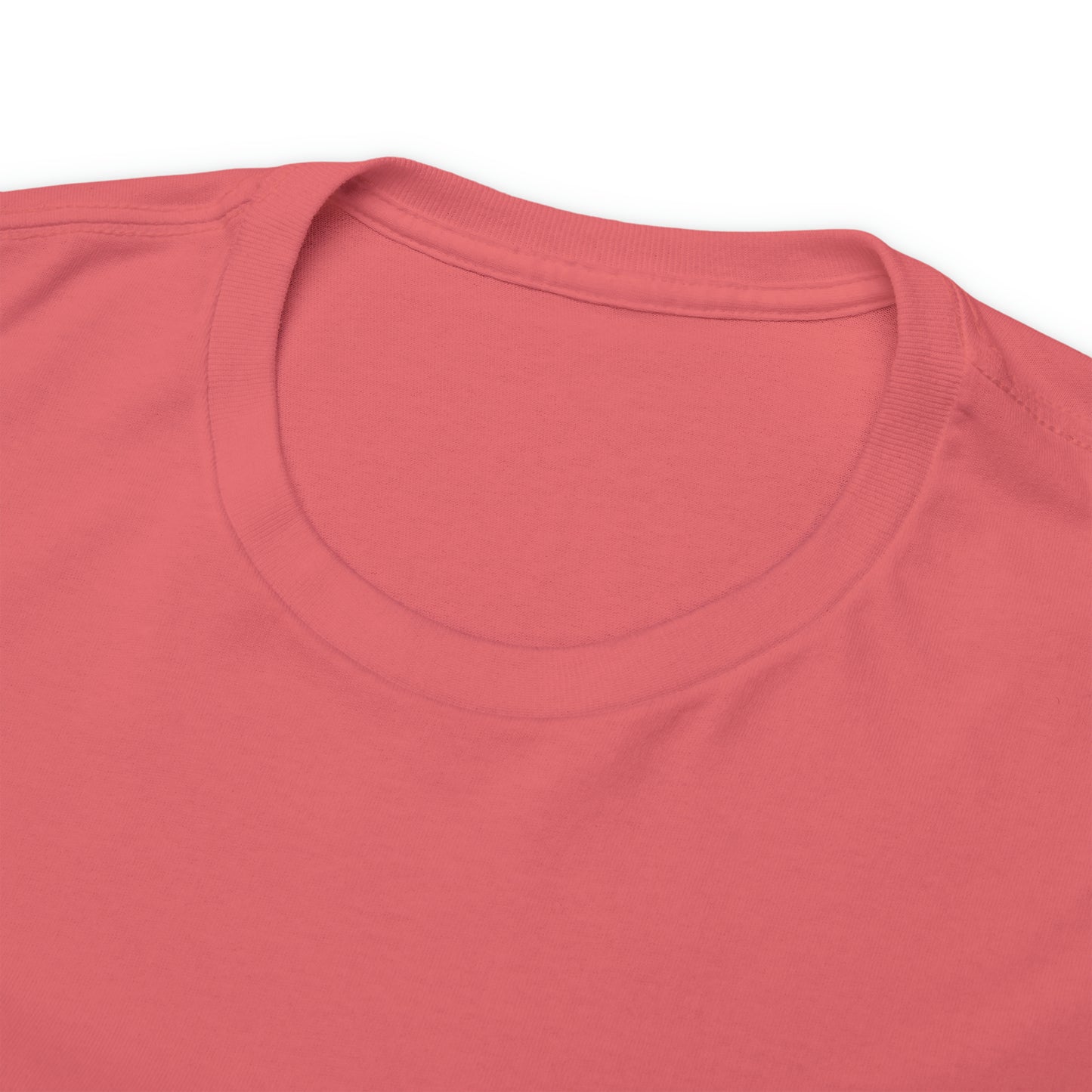 Unisex Braver Heavy Cotton Tee