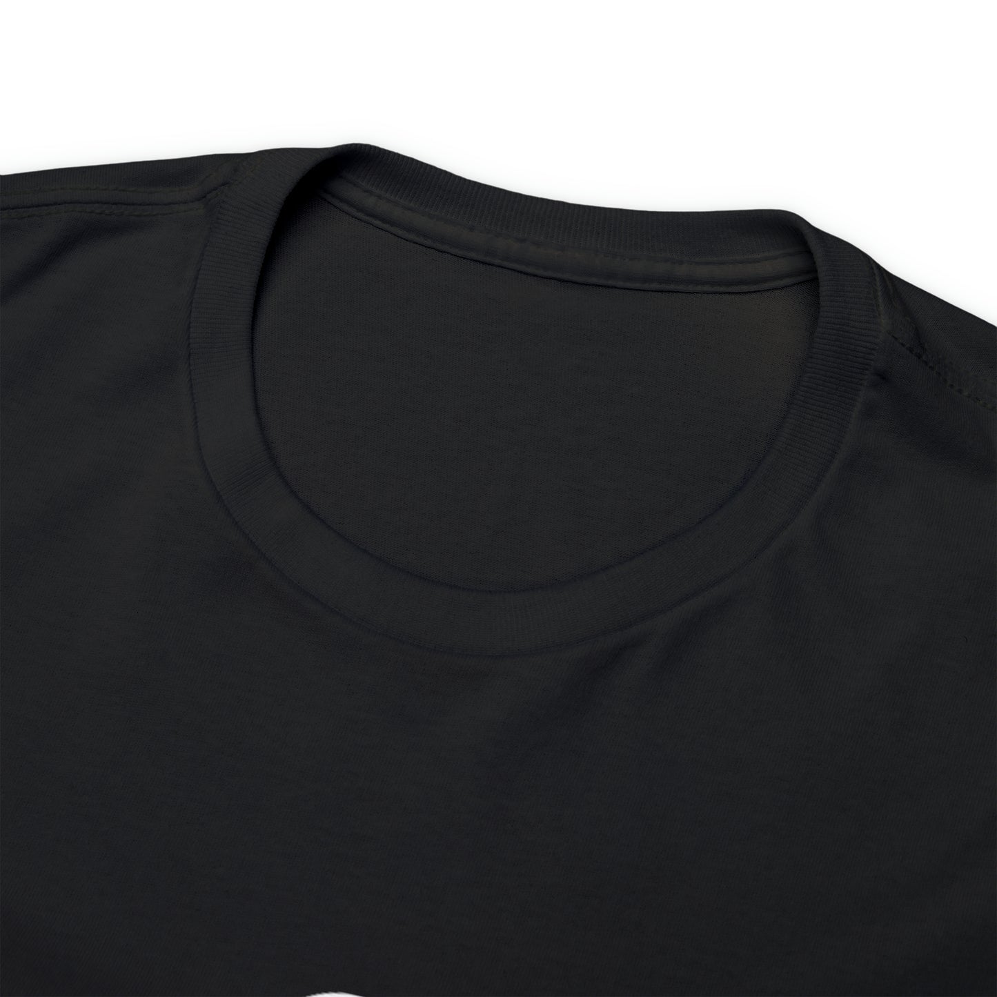 Unisex Build Heavy Cotton Tee